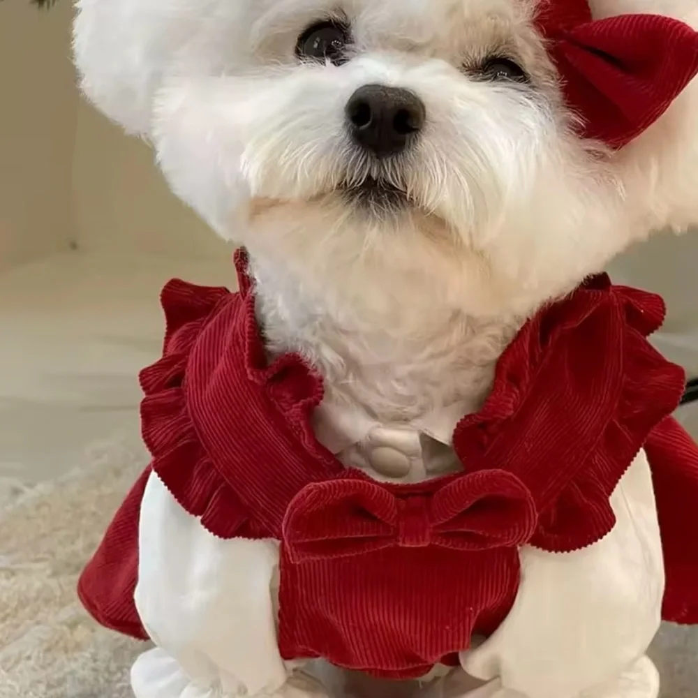 Red Velvet puppy dog Dress with Bow Christmas outfits - Picture 3 of 9